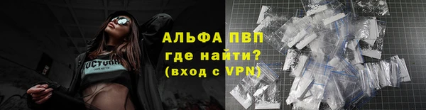 индика Лихославль