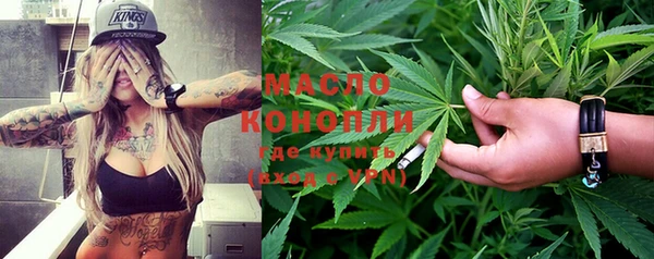 индика Лихославль