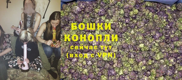 индика Лихославль