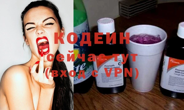 индика Лихославль