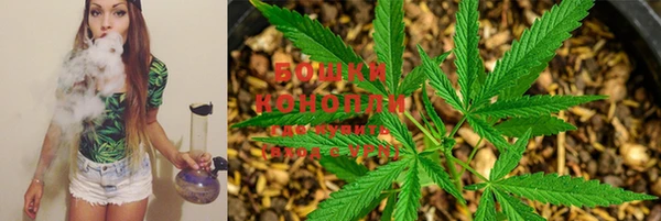 кокс Липки