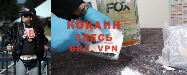 индика Лихославль