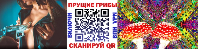 Галлюциногенные грибы ЛСД  ОМГ ОМГ ссылки  Новокузнецк 