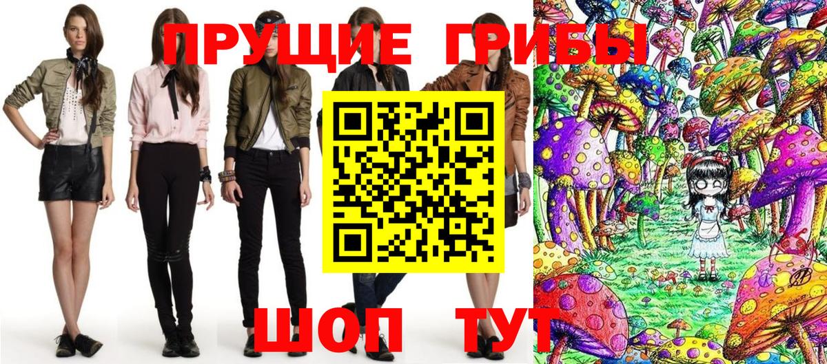Псилоцибиновые грибы Psilocybine cubensis Новокузнецк