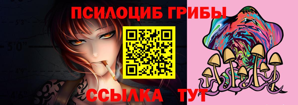 Галлюциногенные грибы MAGIC MUSHROOMS  Вход с VPN  Псилоцибиновые грибы Psilocybe  Новокузнецк 